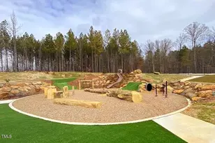 252 Millennium Dr, Pittsboro, NC 27312 - Photo 33