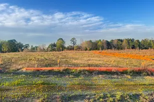 70 Galway Rd, Lillington, NC 27546 - Photo 35