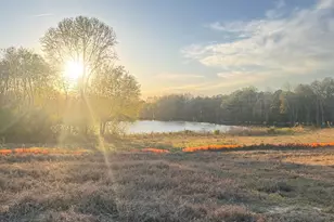 70 Galway Rd, Lillington, NC 27546 - Photo 39