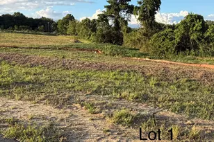 70 Galway Rd, Lillington, NC 27546 - Photo 3