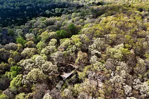 2205 Sanford Ln, Hillsborough, NC 27278 - Photo 45