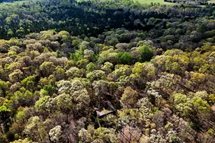 2205 Sanford Ln, Hillsborough, NC 27278 - Photo 43