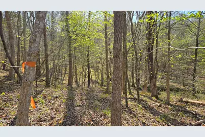 00 Woody, Oxford, NC 27565 - Photo 11