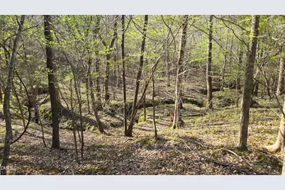 00 Woody, Oxford, NC 27565 - Photo 13