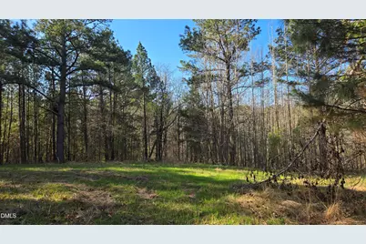 00 Woody, Oxford, NC 27565 - Photo 9