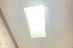 1586 Gum Swamp Church Rd, Greenville, NC 27834 - Photo 53