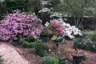 1312 Hampton Valley Rd, Cary, NC 27511 - Photo 33