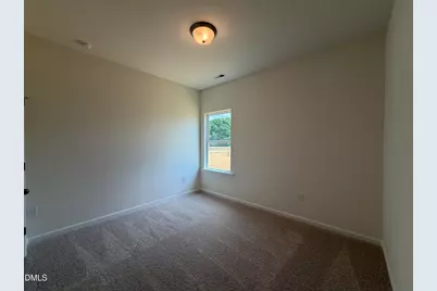 160 Smith Farms Drive, Lillington, NC 27546 - Photo 11