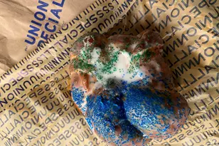 530 Banks St, Raleigh, NC 27604 - Photo 45