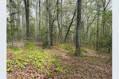 104 Indian Cove, Louisburg, NC 27549 - Photo 9