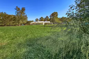 986 N Chavis Rd, Kittrell, NC 27544 - Photo 7