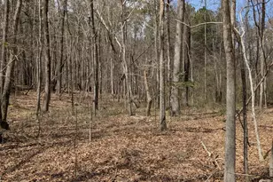 352 Tayside St, Clayton, NC 27520 - Photo 37