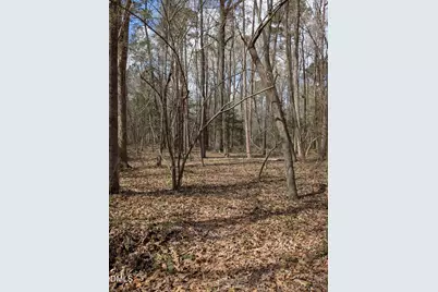 352 Tayside Street, Clayton, NC 27520 - Photo 35