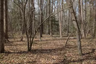 352 Tayside St, Clayton, NC 27520 - Photo 35