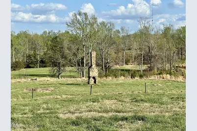 7.28 Acres Jones Road, Hurdle Mills, NC 27541 - Photo 13