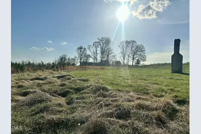 7.28 Acres Jones Road, Hurdle Mills, NC 27541 - Photo 7