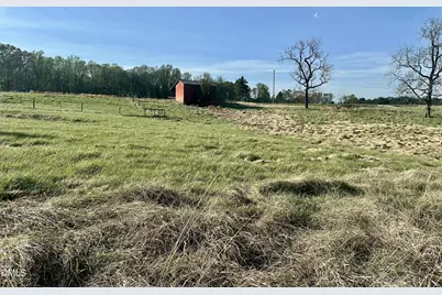 7.28 Acres Jones Road, Hurdle Mills, NC 27541 - Photo 9