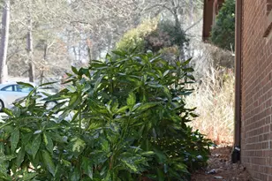 5500 Fortunes Ridge Dr, Durham, NC 27713 - Photo 43