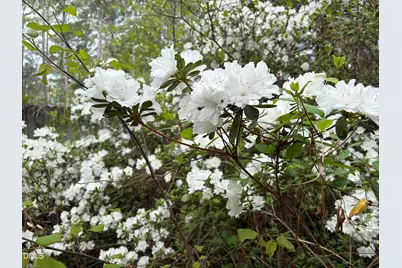 5702 Old Greensboro Road, Chapel Hill, NC 27516 - Photo 5