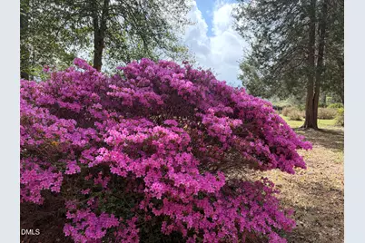 5702 Old Greensboro Road, Chapel Hill, NC 27516 - Photo 3