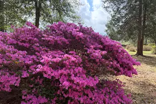 5702 Old Greensboro Rd, Chapel Hill, NC 27516 - Photo 3