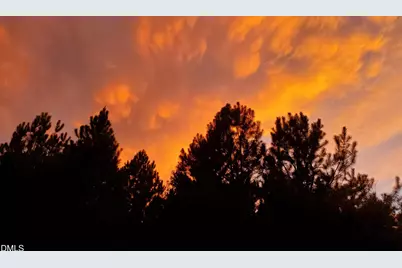 200 Raymond Tharrington Road, Louisburg, NC 27549 - Photo 35