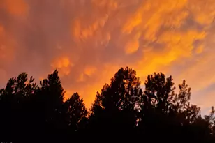 200 Raymond Tharrington Rd, Louisburg, NC 27549 - Photo 35