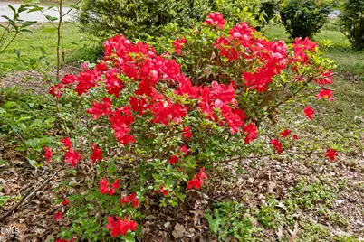 2840 Banks Road, Raleigh, NC 27603 - Photo 7