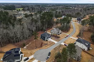 25 Gadwall Ct, Zebulon, NC 27597 - Photo 43