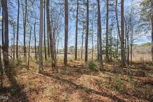 624 Long Lake Dr, Fuquay Varina, NC 27526 - Photo 51