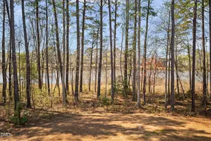 624 Long Lake Dr, Fuquay Varina, NC 27526 - Photo 59