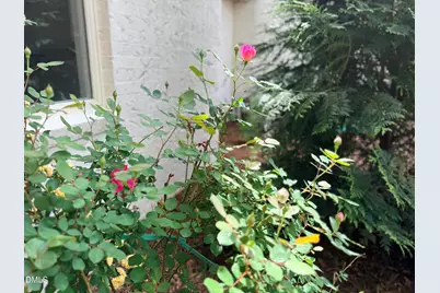 1023 Cleland Drive, Chapel Hill, NC 27517 - Photo 67