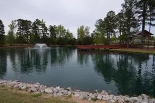 1910 Cedar Dam Ln, Wendell, NC 27591 - Photo 49