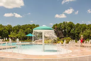 208 Whisk Fern Way, Holly Springs, NC 27540 - Photo 41