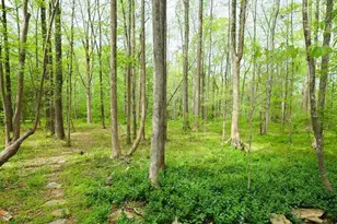 8309 Epping Forest Way, Wake Forest, NC 27587 - Photo 67