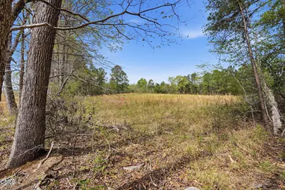 6134 Bob Daniel Road, Oxford, NC 27565 - Photo 9