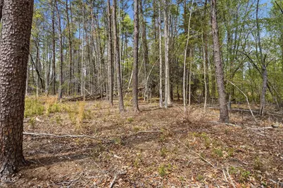 6134 Bob Daniel Road, Oxford, NC 27565 - Photo 13