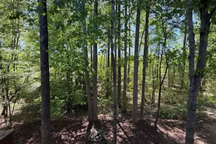 514 Mill Hopper Ln, Apex, NC 27502 - Photo 29