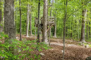 197 Kings View Ln, Chapel Hill, NC 27517 - Photo 43