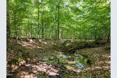 5500 N Carolina 86 (Lot 2), Chapel Hill, NC 27514 - Photo 5