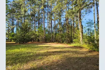 1007 Swift Creek Drive, Clayton, NC 27520 - Photo 33