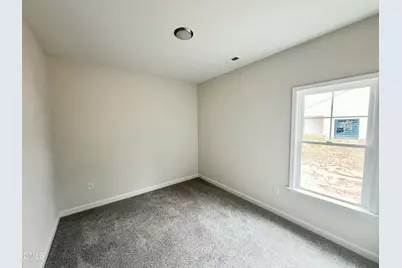 413 Creeks Edge Drive, Pikeville, NC 27863 - Photo 13