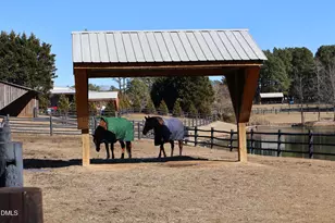 603 Gianna Dr, Clayton, NC 27527 - Photo 5