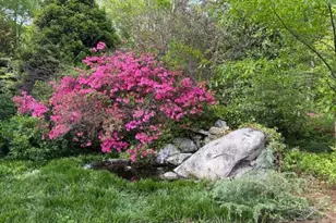 184 Lystra Estates Dr, Chapel Hill, NC 27517 - Photo 19