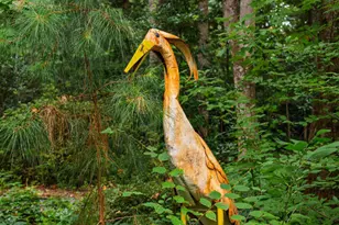 184 Lystra Estates Dr, Chapel Hill, NC 27517 - Photo 77