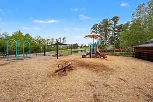 2127 Big Falls Dr, Wendell, NC 27591 - Photo 37