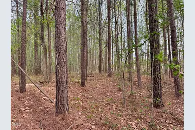 12301 Nc Highway 86 S, Prospect Hill, NC 27314 - Photo 11