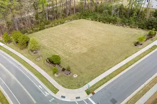 3142 Retama Run, Apex, NC 27562 - Photo 43