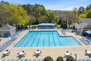 1047 Mica Lamp Ct, Apex, NC 27502 - Photo 29