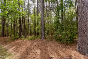 4314 Pin Oak Dr, Durham, NC 27707 - Photo 47